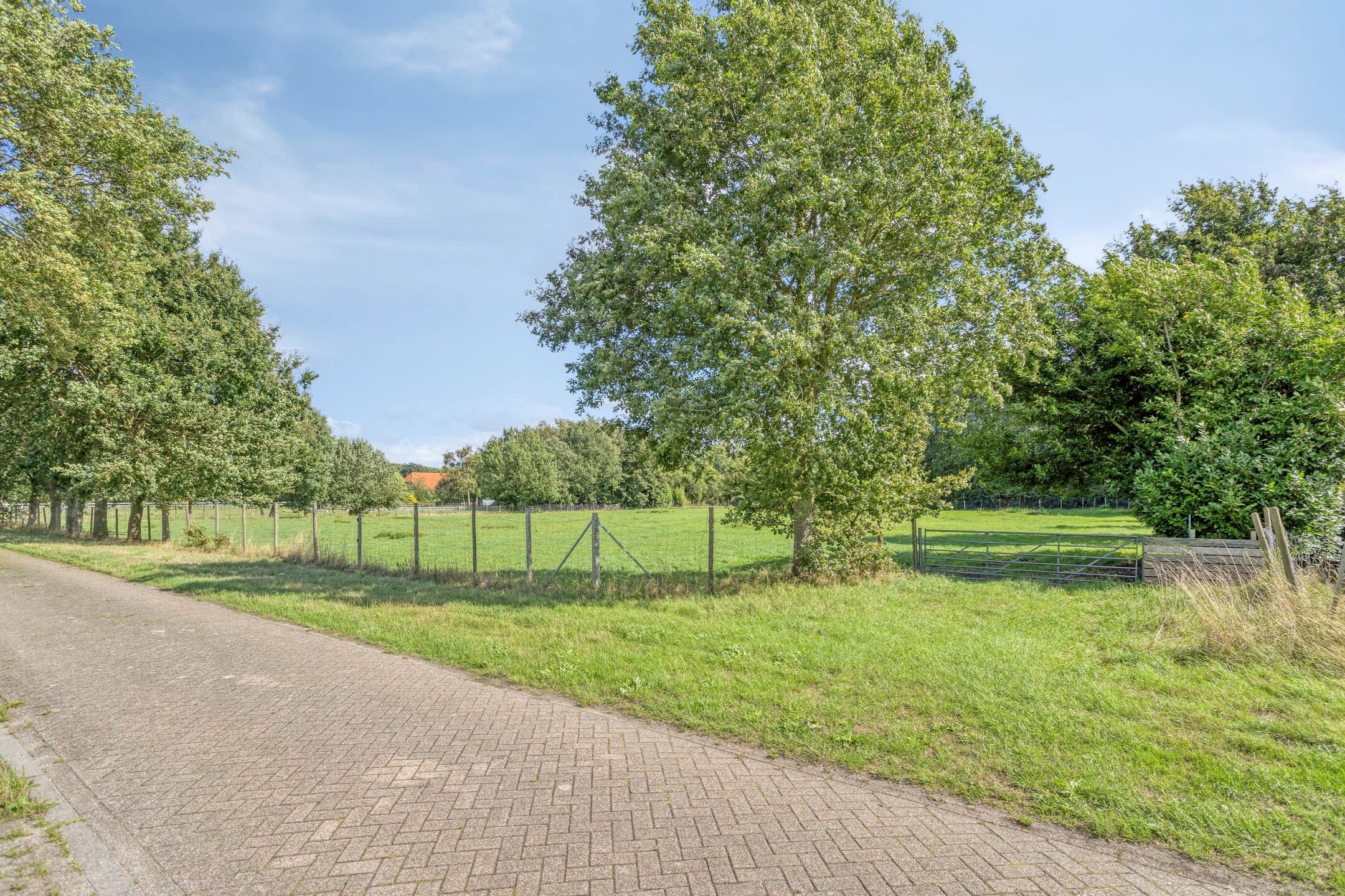 Photo 102 of Zuiderdiep 190