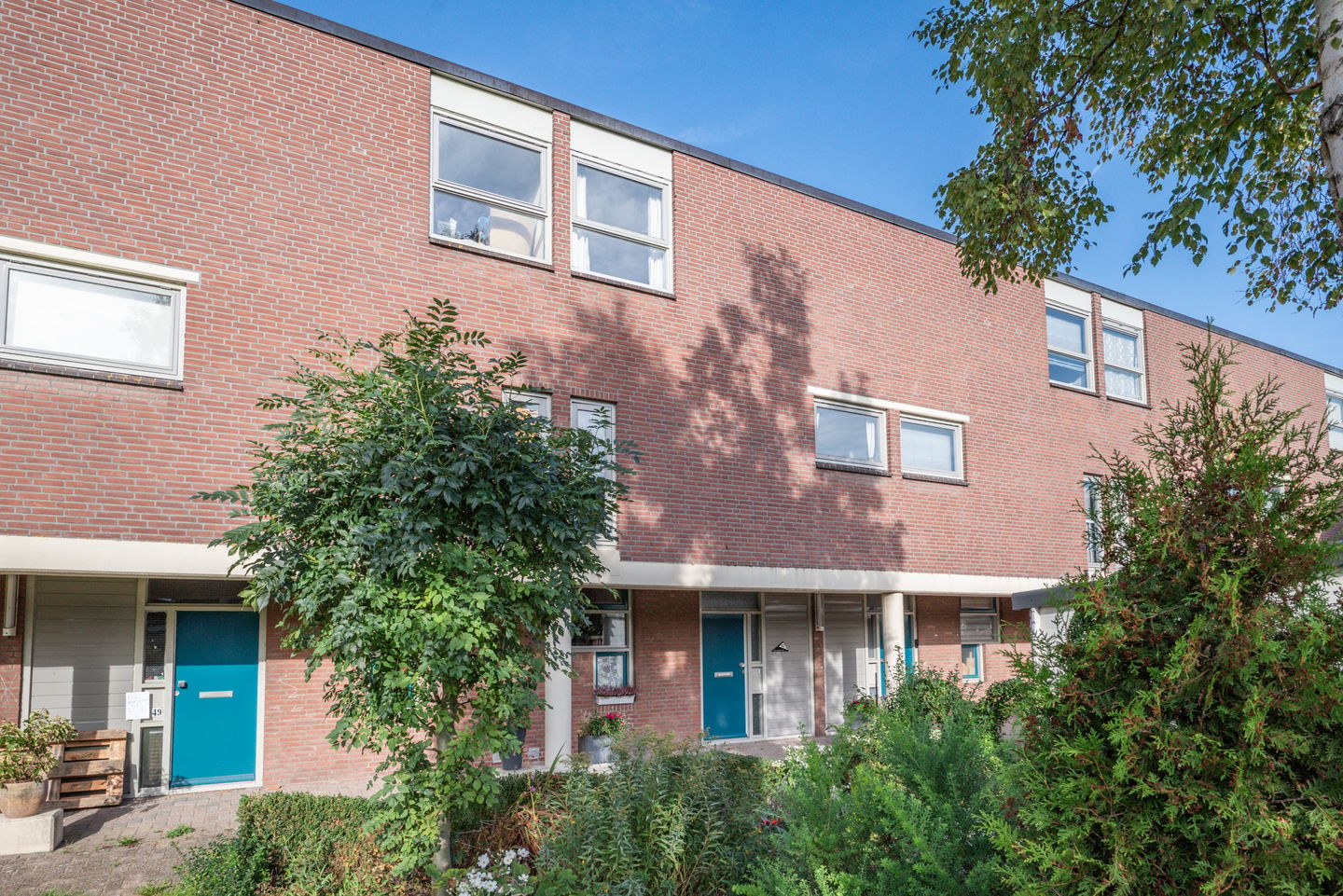 Foto 44 van Pollux 50