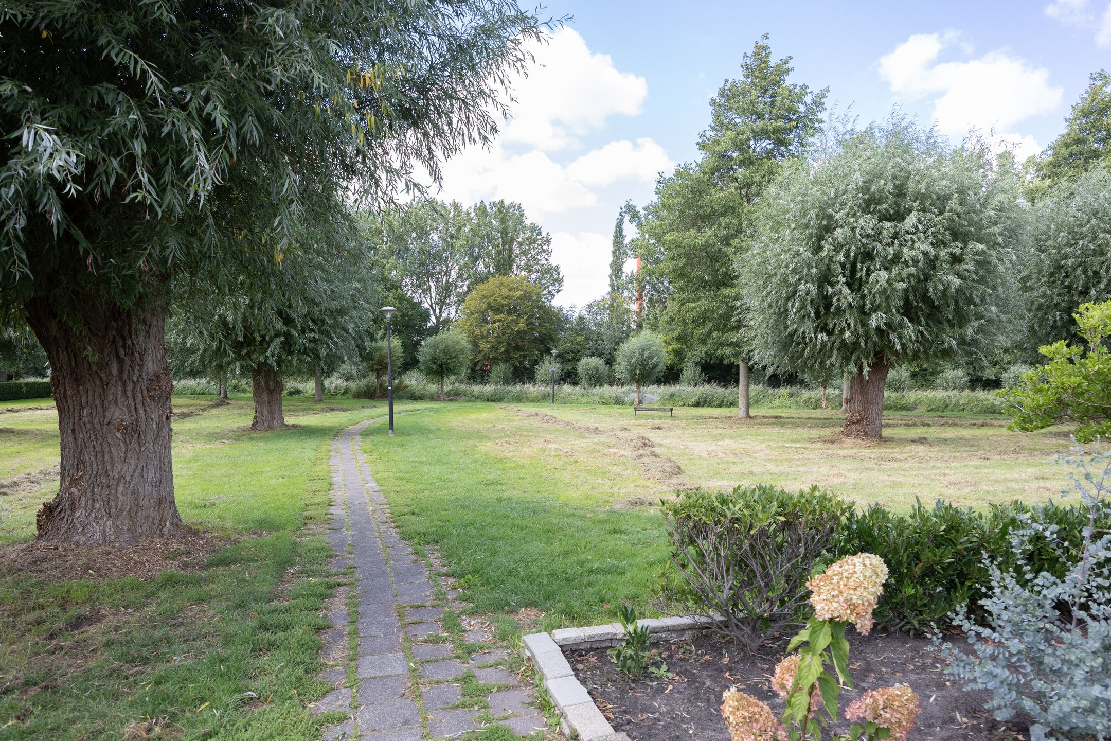 Foto 42 van De Terpen 3