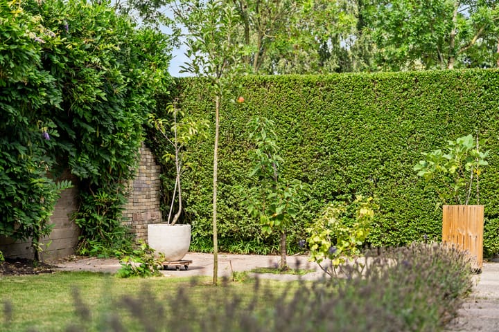 Tussenwoning te koop: Dopheide 6, Amersfoort
