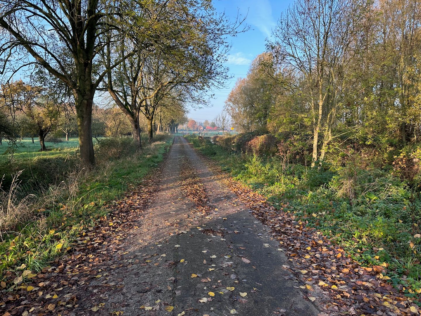 Foto 25 van Ter Aaseweg 3