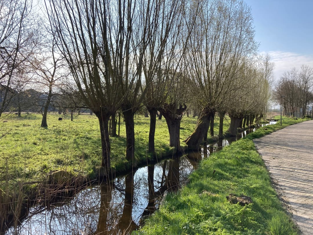 Foto 22 van Ter Aaseweg 3