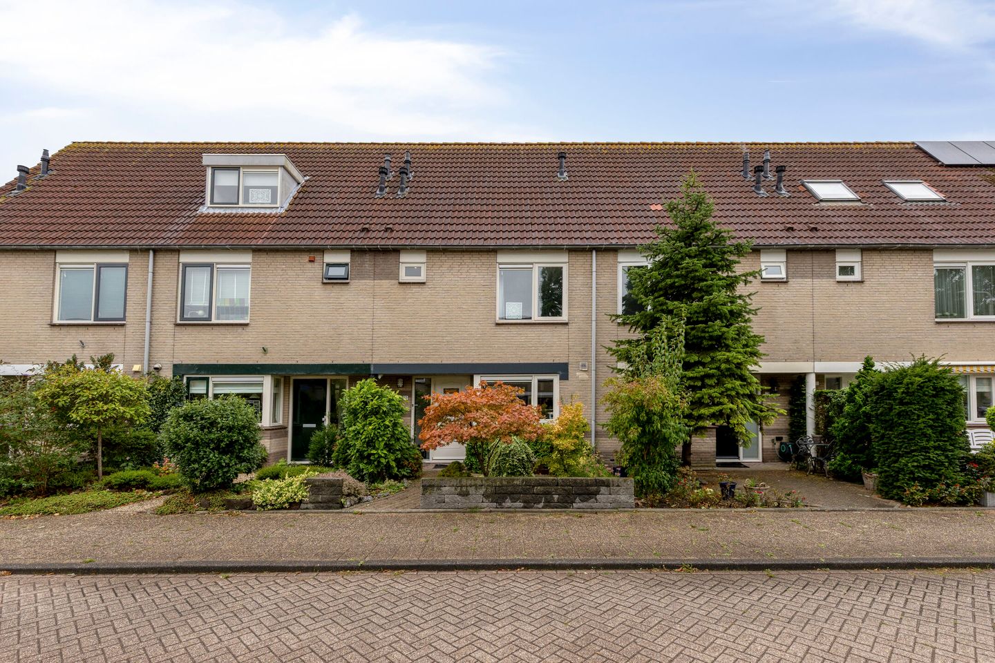 Foto 1 van Gentiaan 12