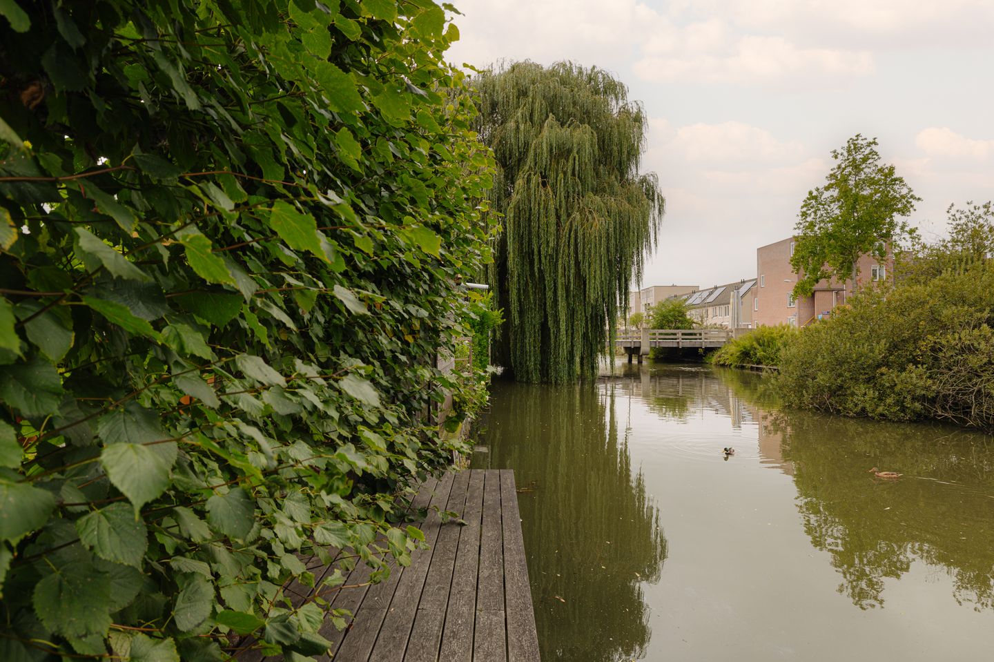 Foto 40 van Noorderakerweg 30