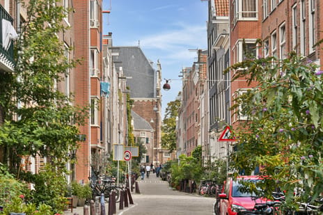 Boomstraat thumbnail