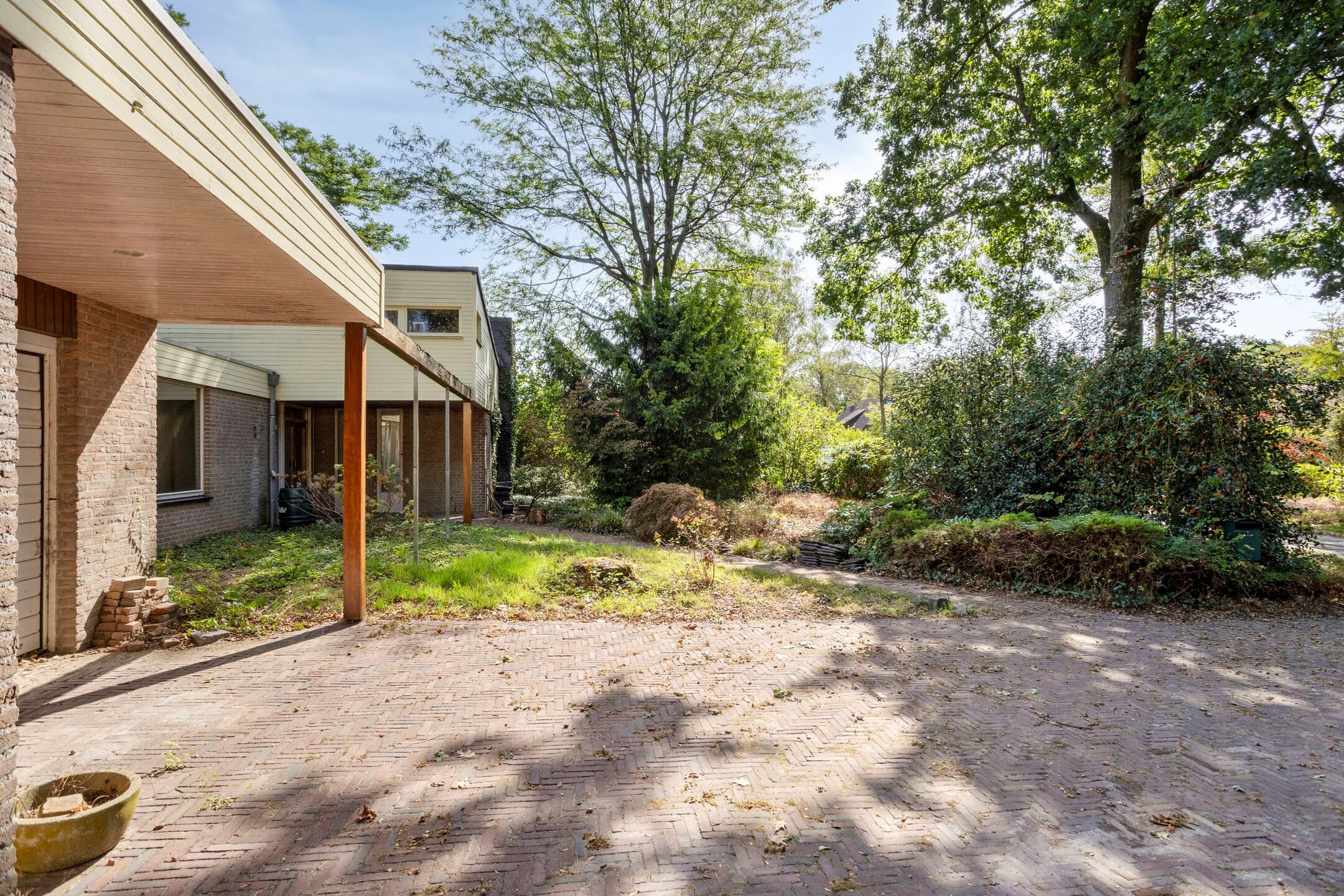 Foto 18 van Sporkehout 36