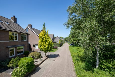 Belle van Zuylenstraat thumbnail