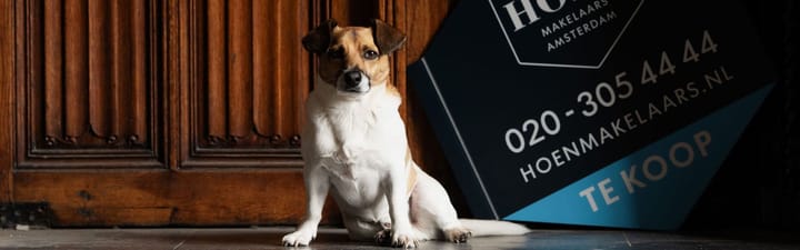 office-banner