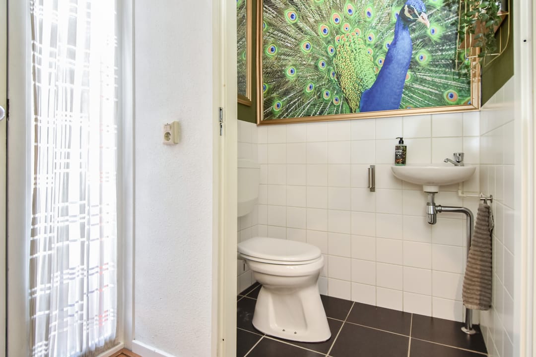 Photo 8 of Operatie Mannahof 7
