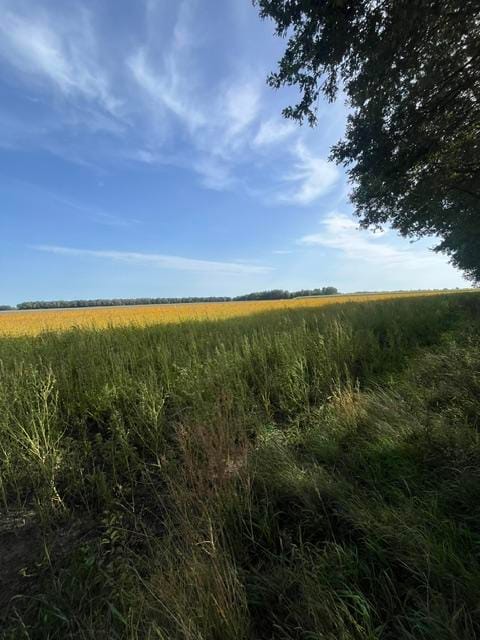 Bekijk foto 3 van Rheeërweg