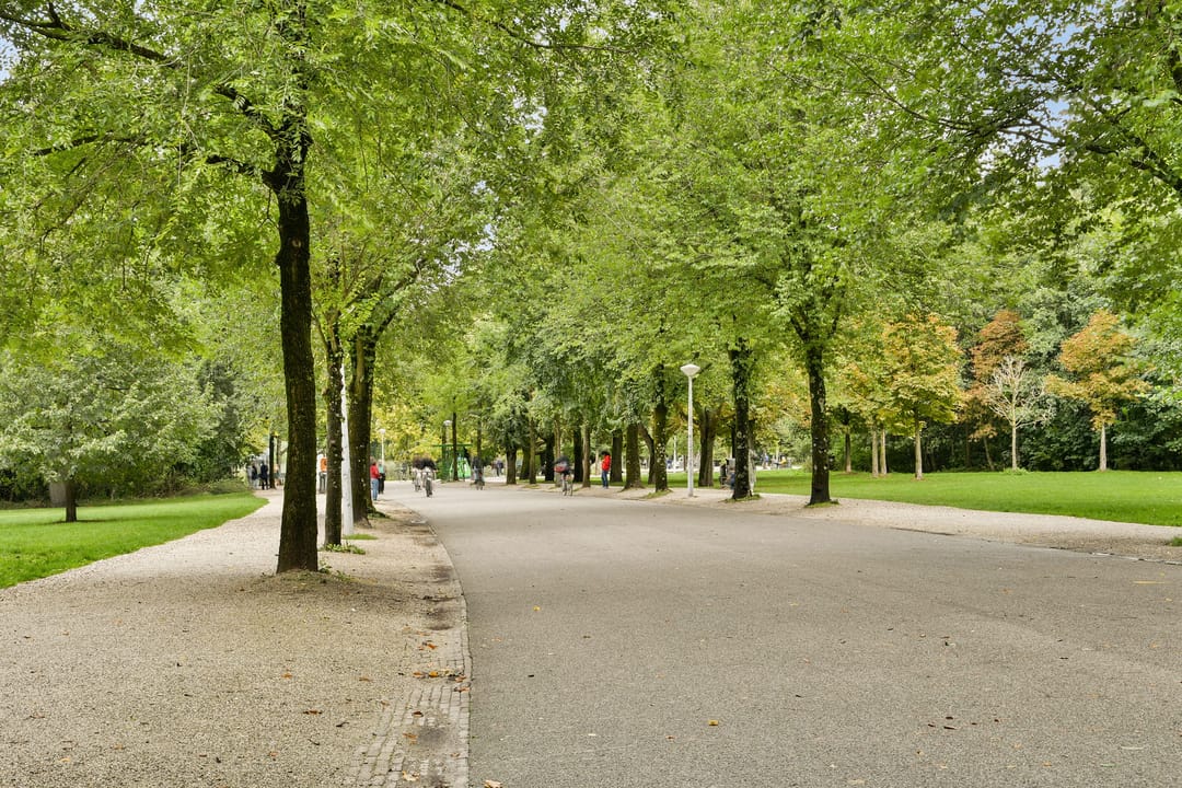 Foto 43 van Willemsparkweg 144-1