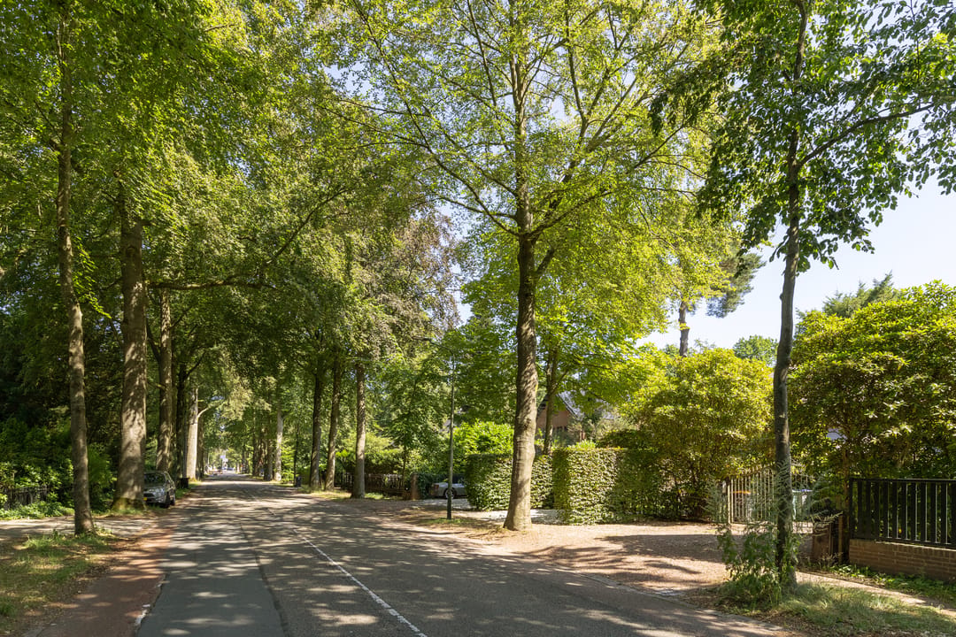 Foto 47 van Gezichtslaan 82