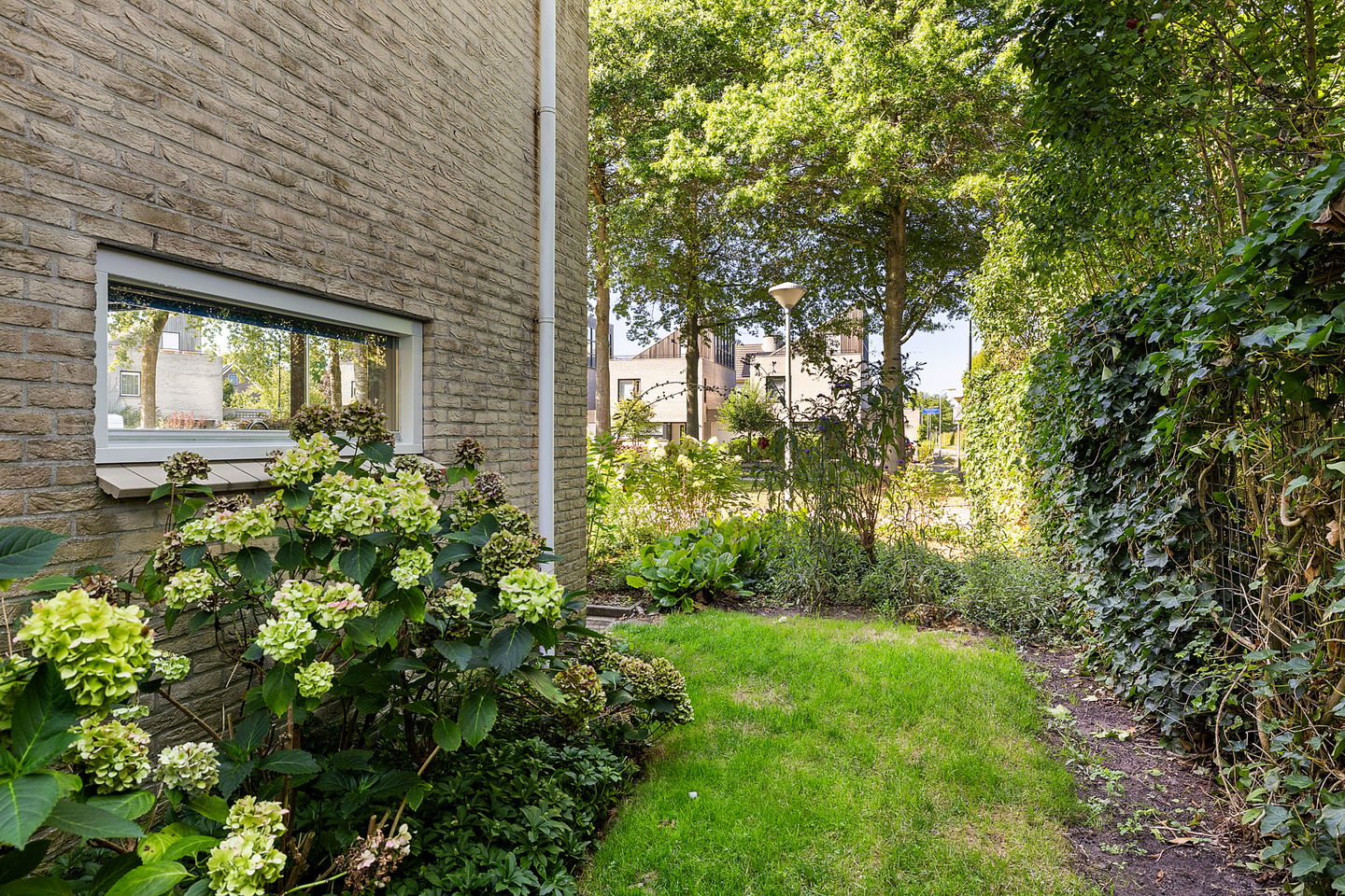 Foto 44 van Houtzaagmolen 46