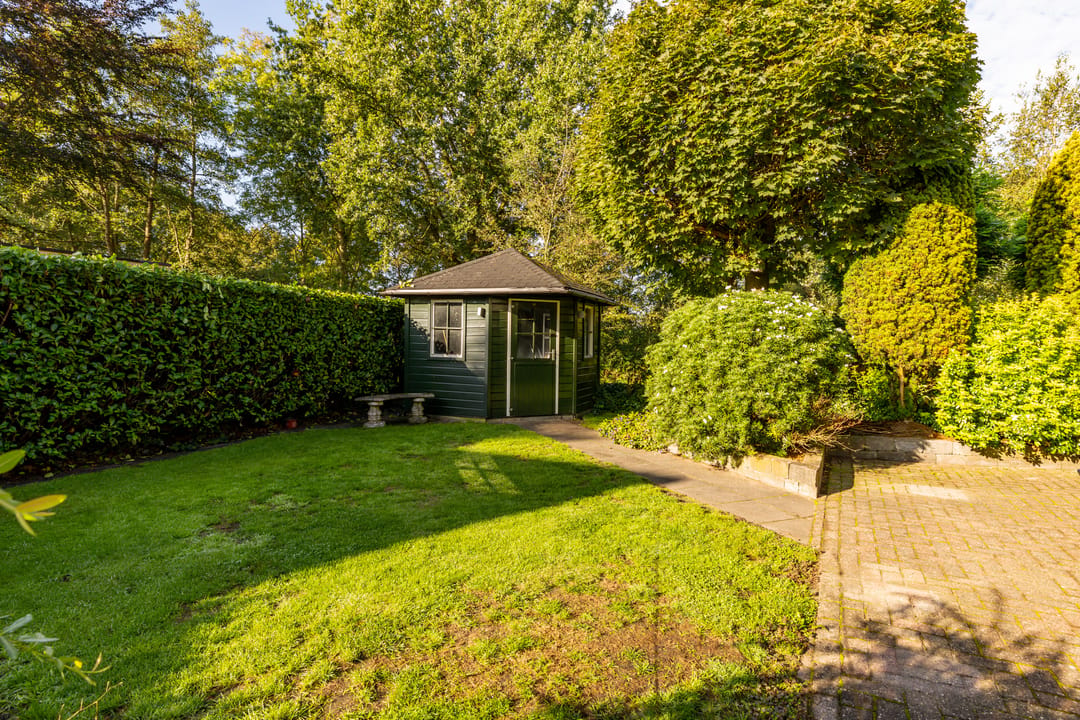 Foto 46 van Dingspel 42