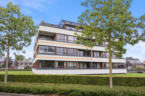 Burgemeester Hoefnagelstraat thumbnail