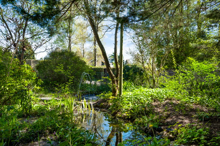 Foto 4 van Reewoude 53