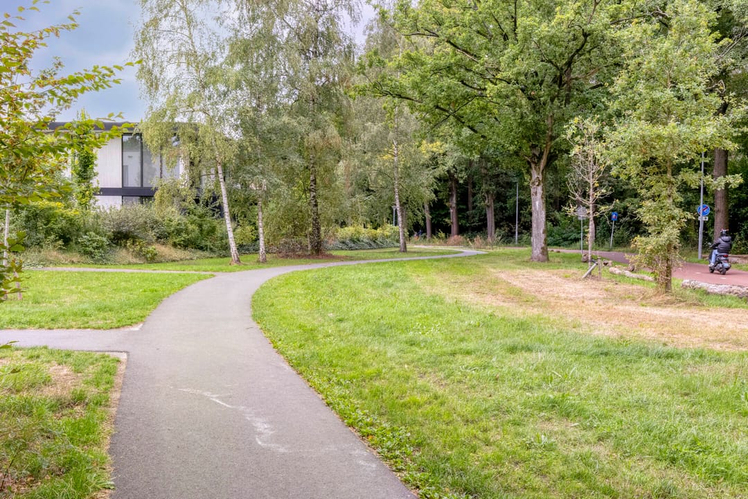 Foto 43 van Beeldbuisring 41