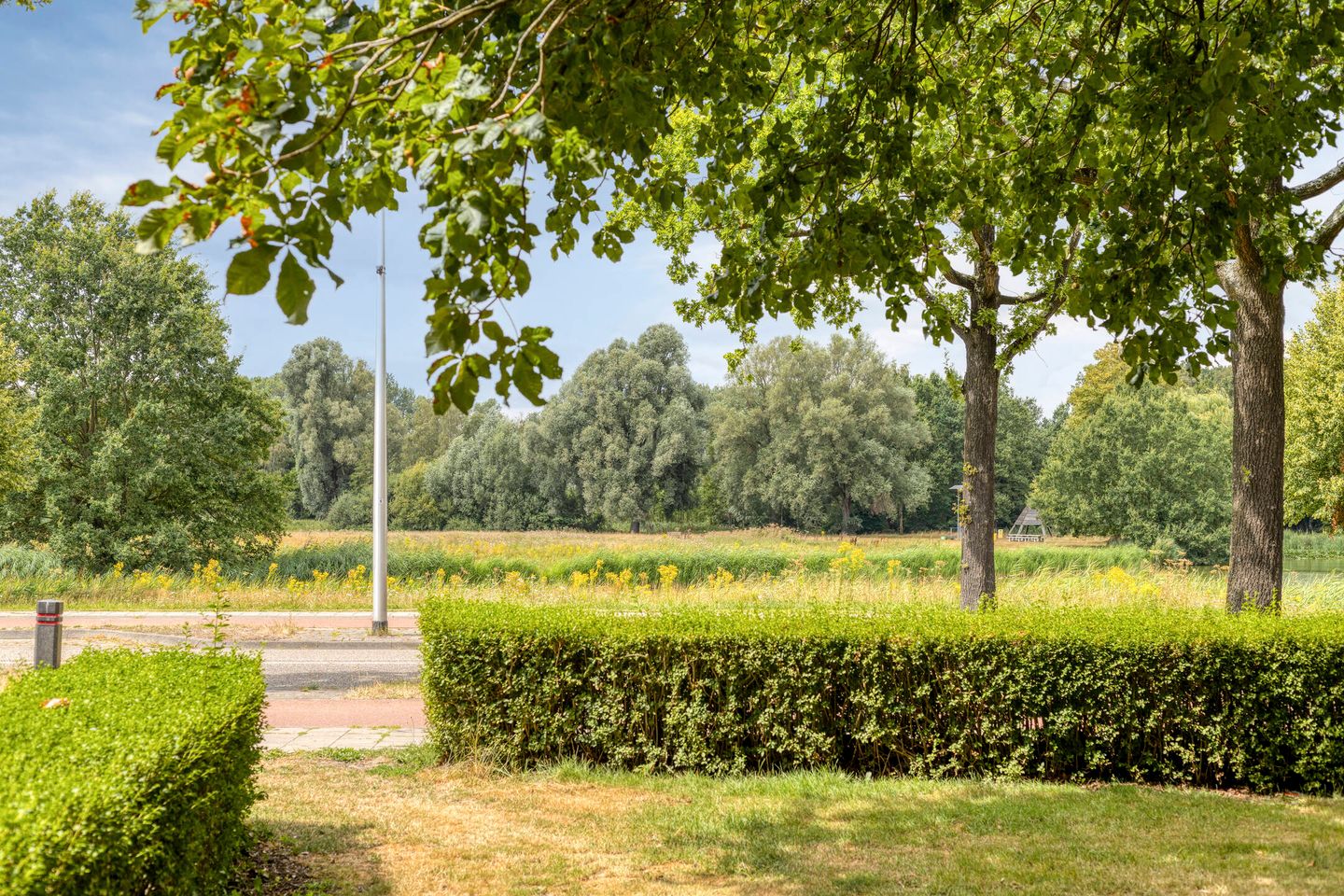Photo 49 of Dr. Kuyperplantsoen 5