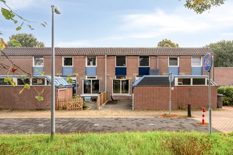 Schoolwerf thumbnail