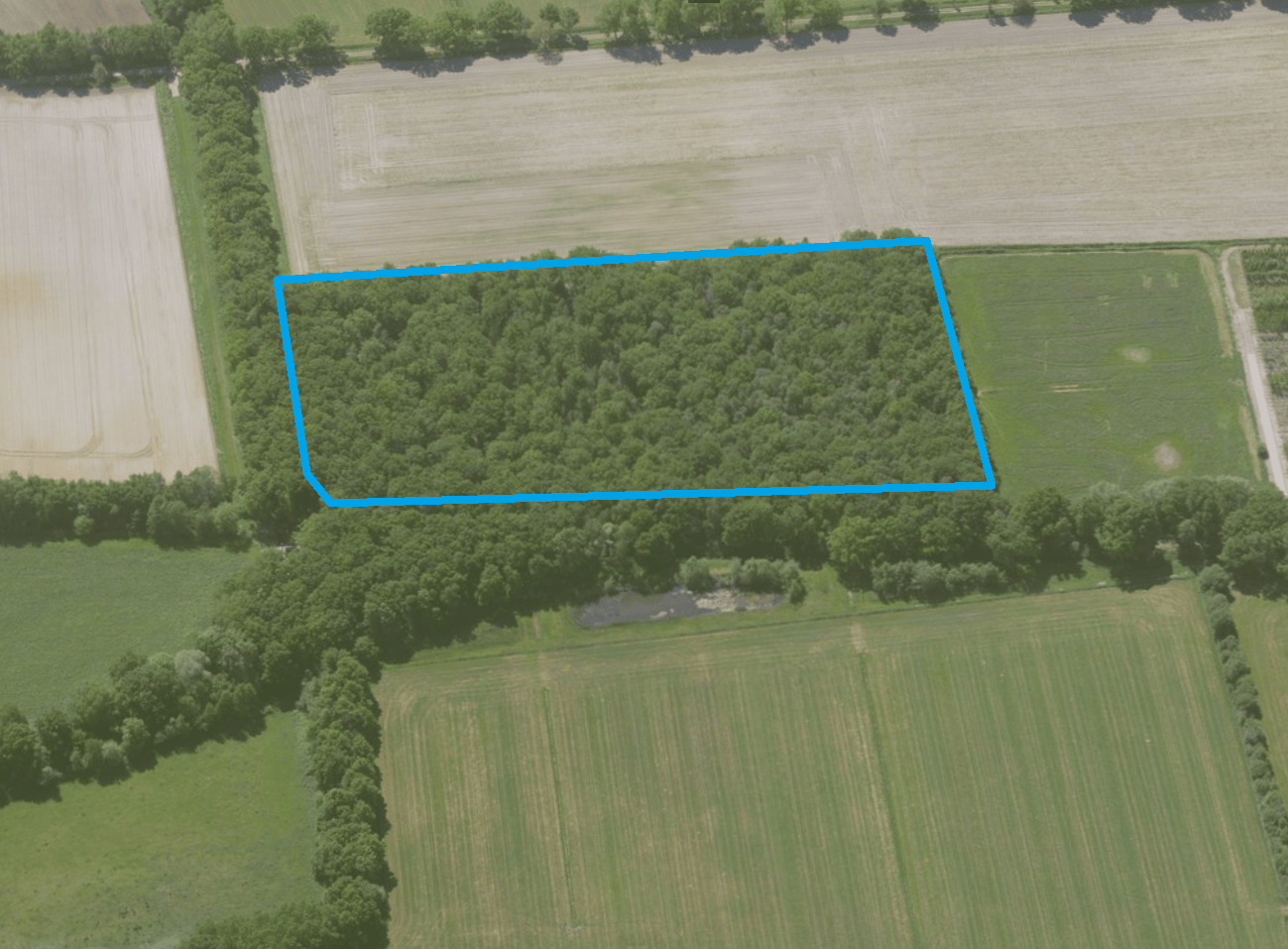 In Het Spiek - Rijkevoort - Afbeelding 1