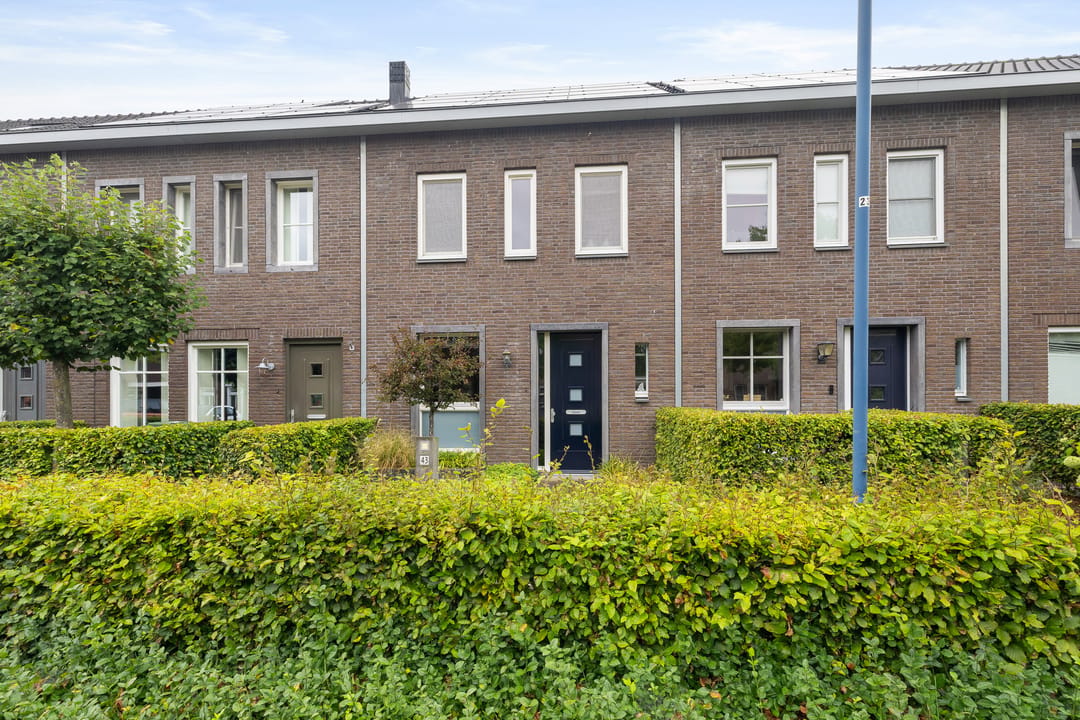 Foto 1 van Veenmos 43