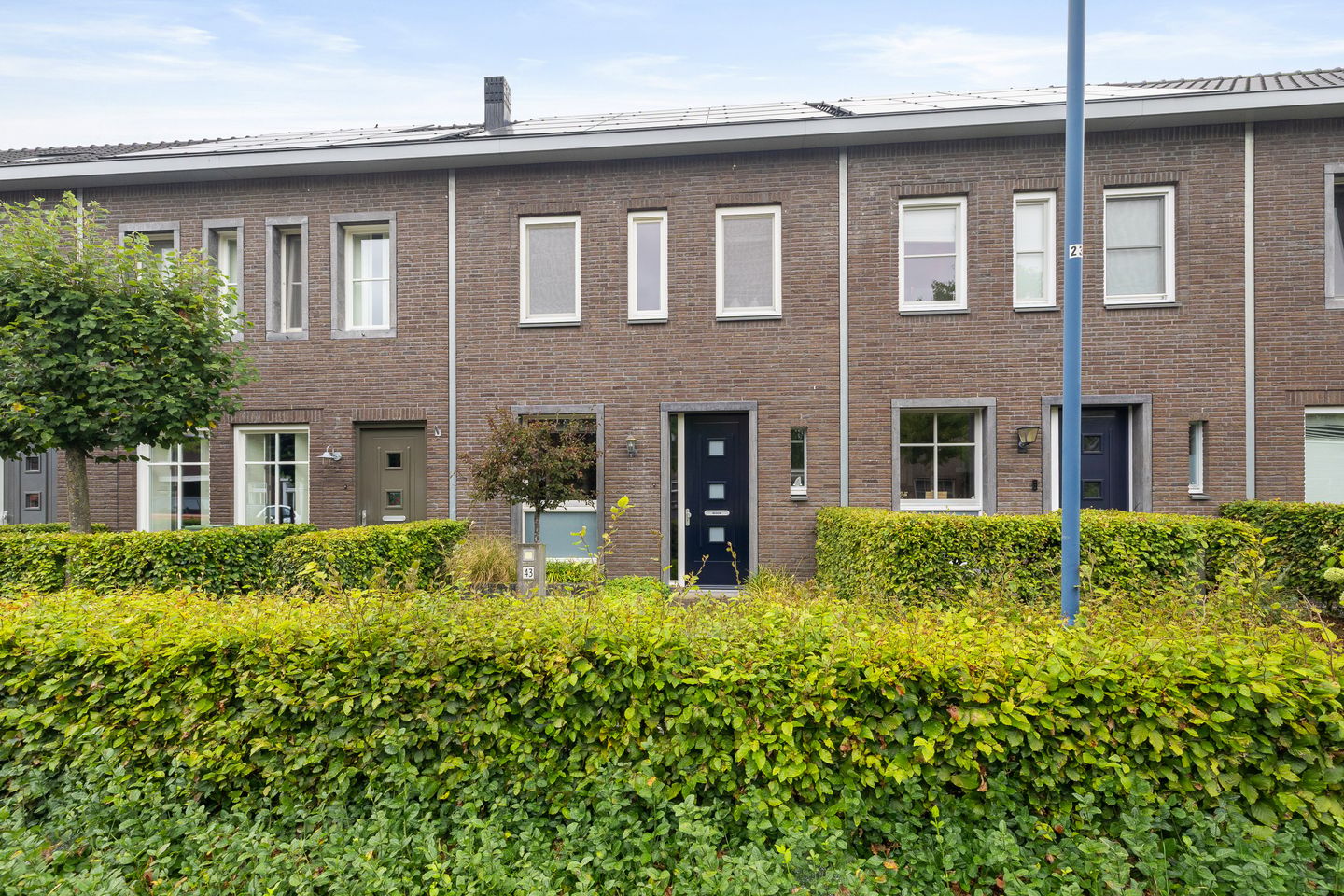 Foto 1 van Veenmos 43