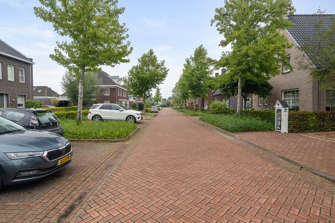 Foto 32 van Veenmos 43