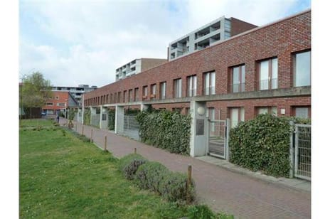 Mierikswortelstraat thumbnail
