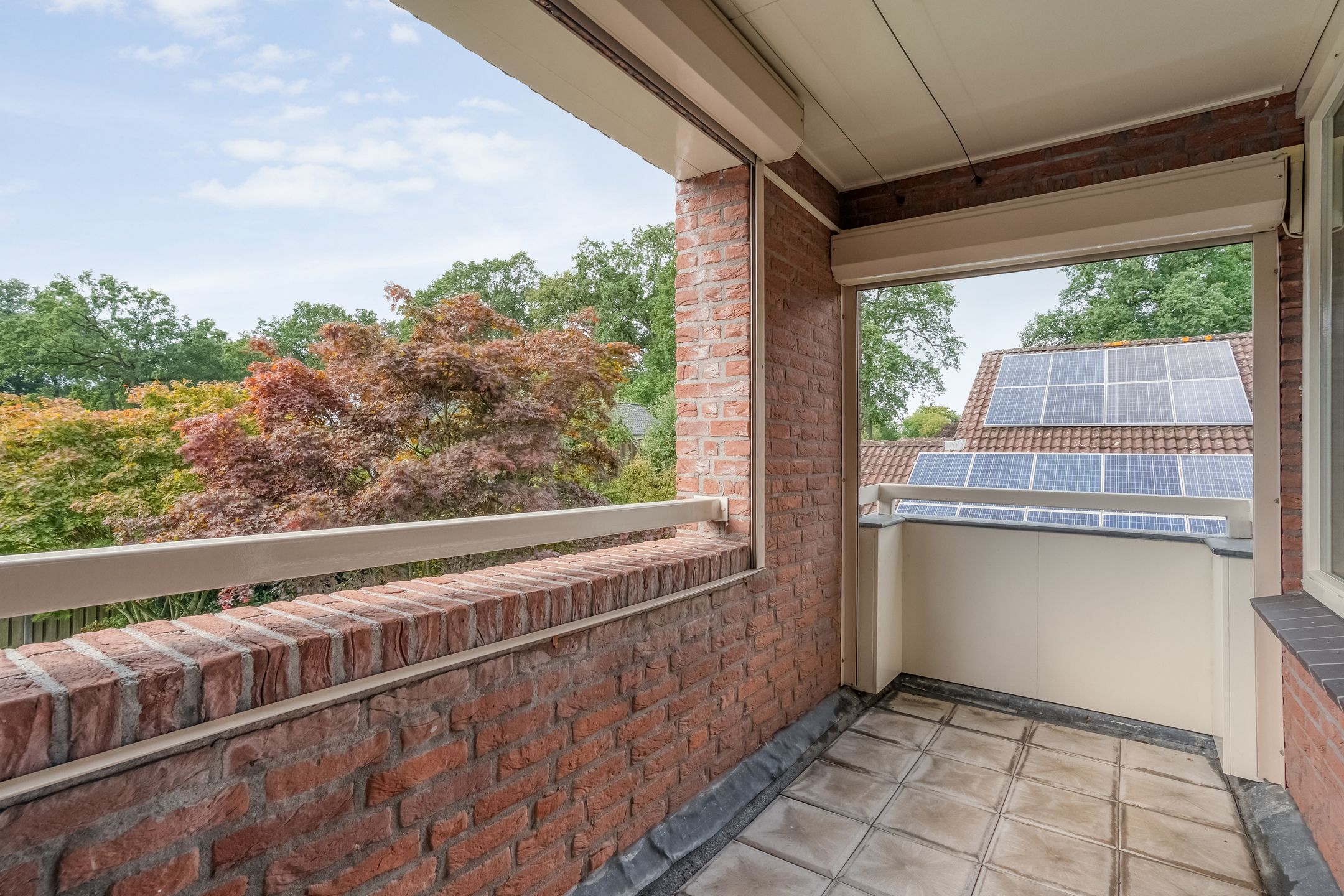 Foto 42 van Esdoorn 6