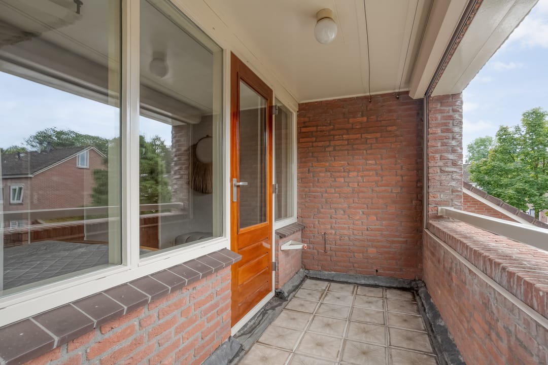 Foto 43 van Esdoorn 6