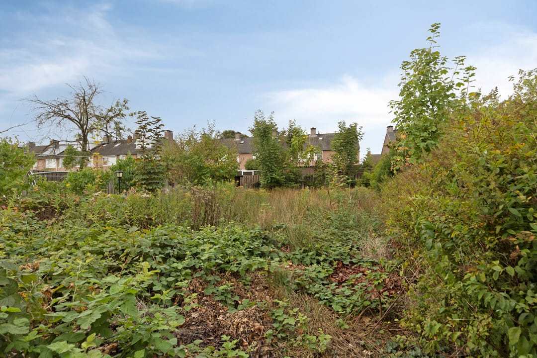 Photo 37 of Burgemeester van Poppelstraat 103