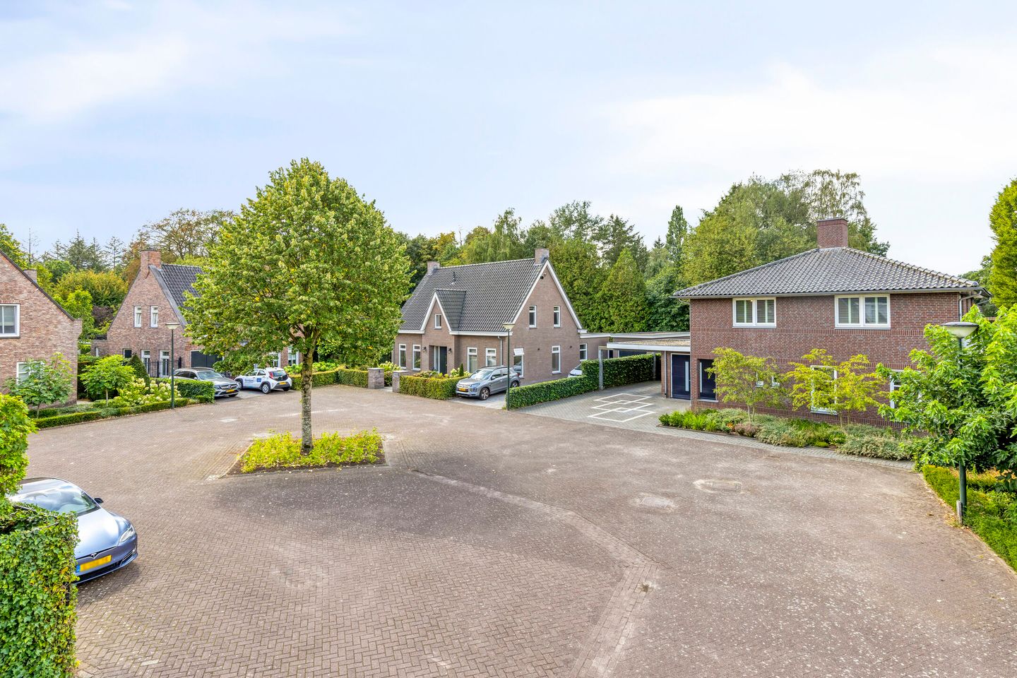 Foto 4 van Vlaamse Gaai 3
