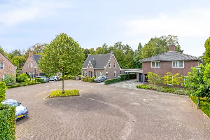 Foto 4 van Vlaamse Gaai 3