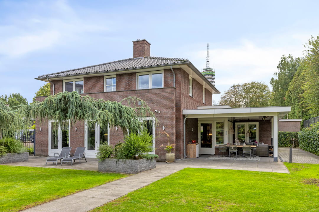 Foto 32 van Vlaamse Gaai 3