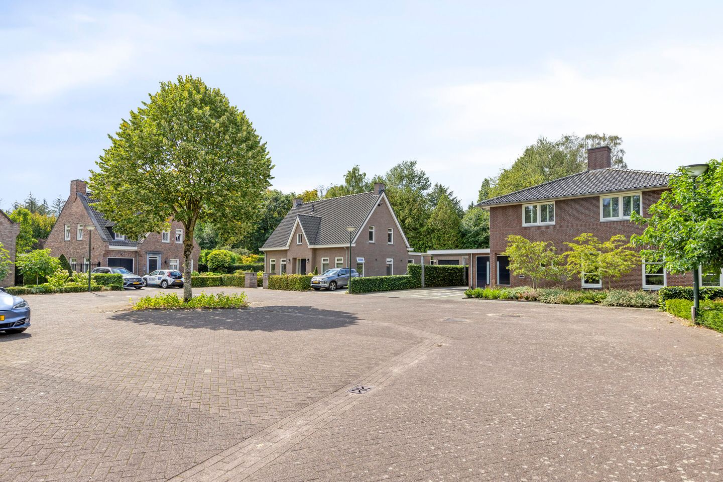 Foto 44 van Vlaamse Gaai 3