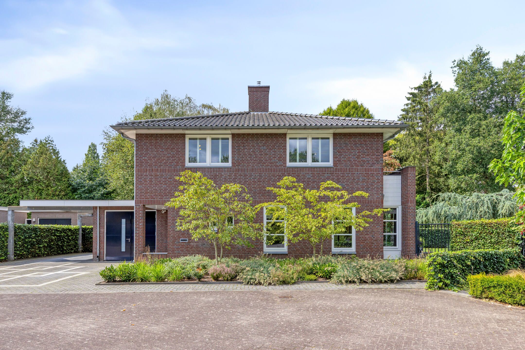 Foto 45 van Vlaamse Gaai 3