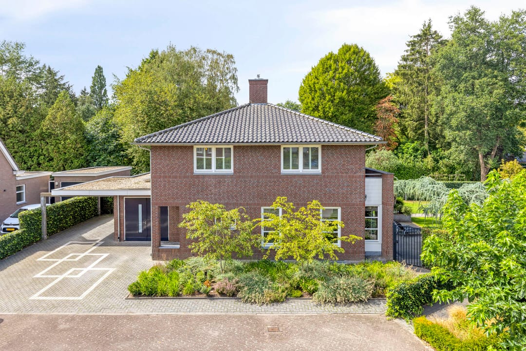 Foto 47 van Vlaamse Gaai 3