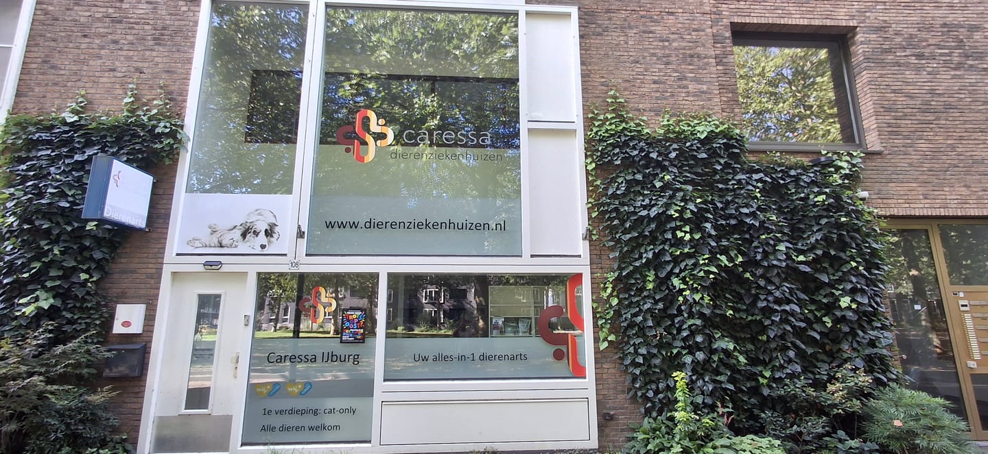 Bekijk foto 1 van Joris Ivensplein 108