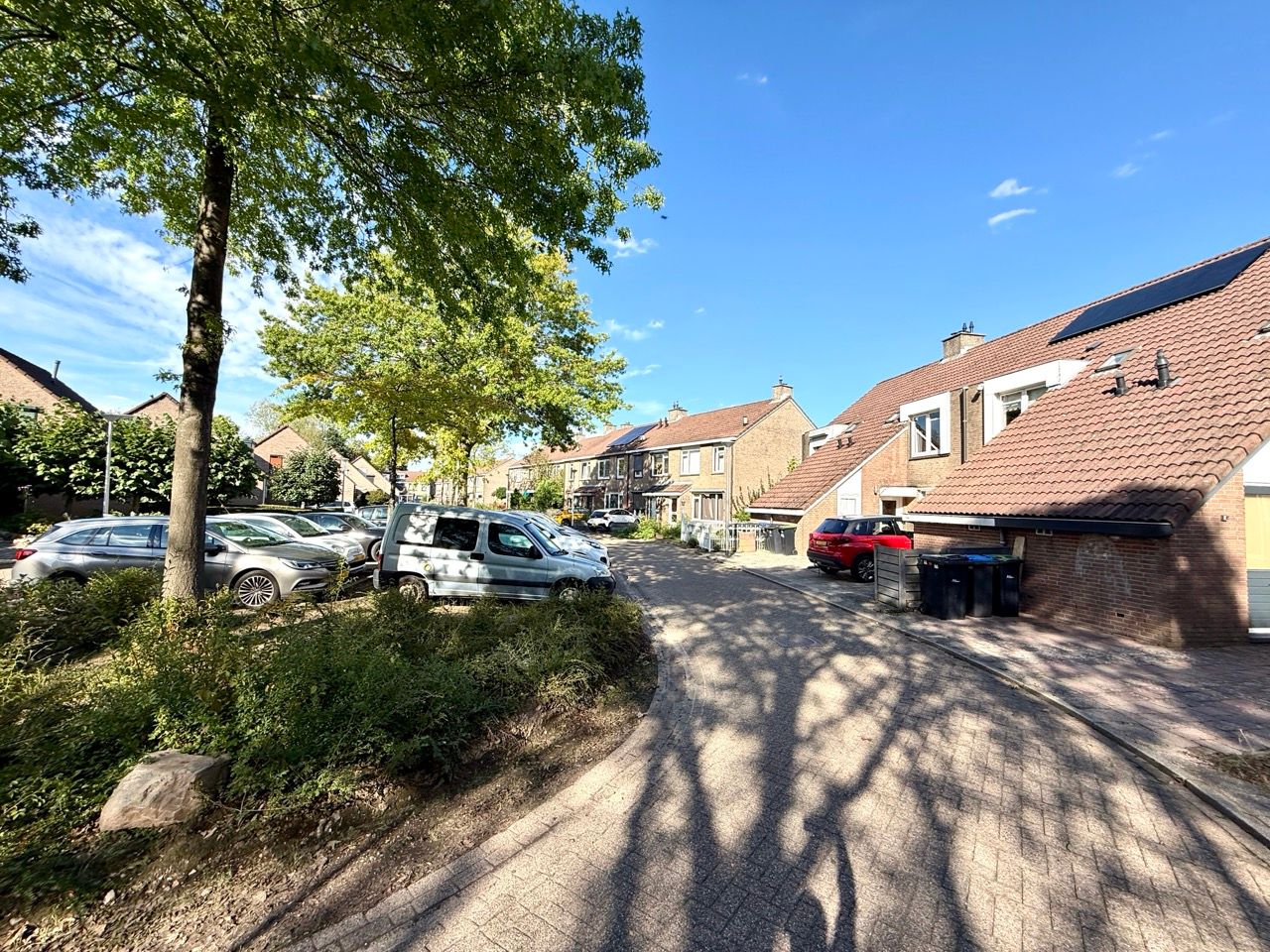 Foto 19 van Fossielenerf 90