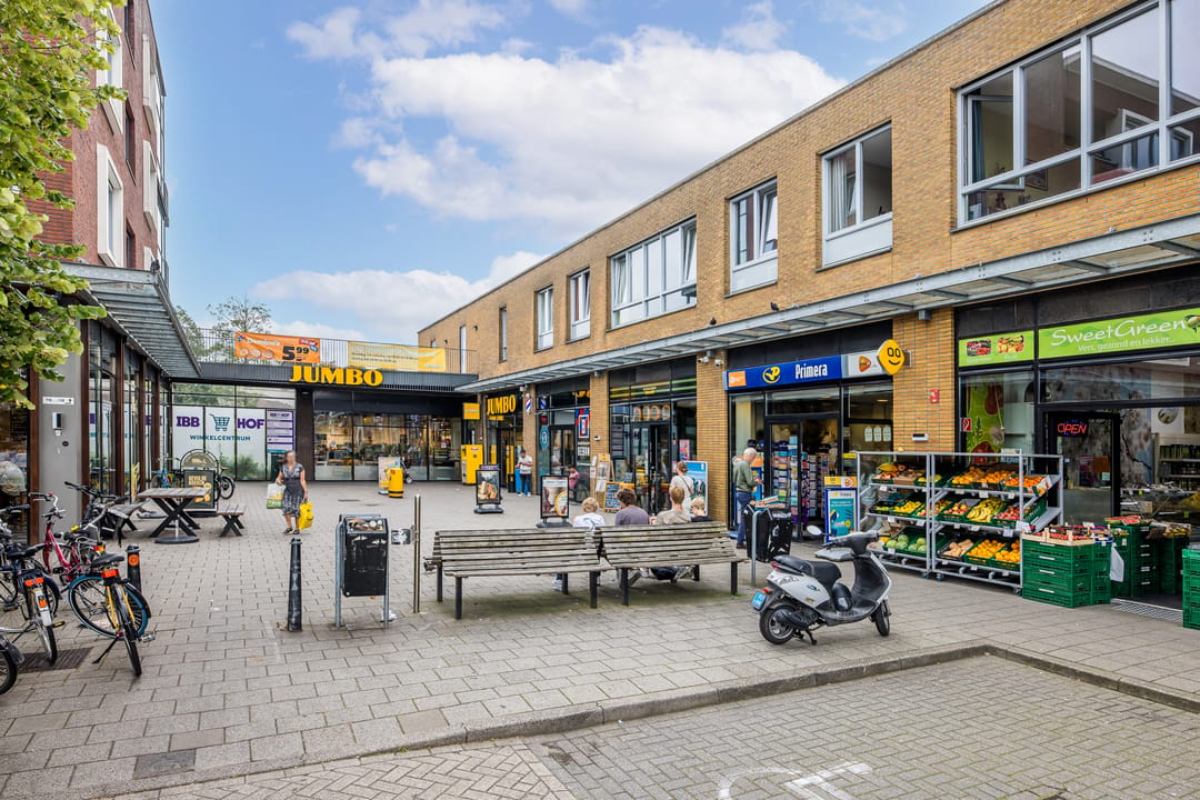 Foto 43 van Ina Boudier-Bakkerlaan 36-C
