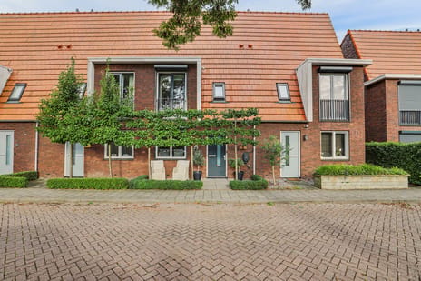 Wilhelminastraat thumbnail