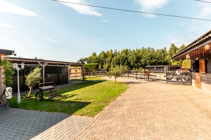 Foto 4 van Zuiderzeestraatweg 91