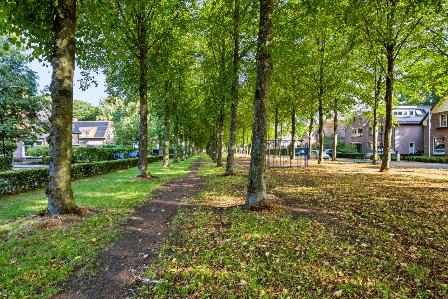 Photo 55 of Koning Lodewijklaan 20