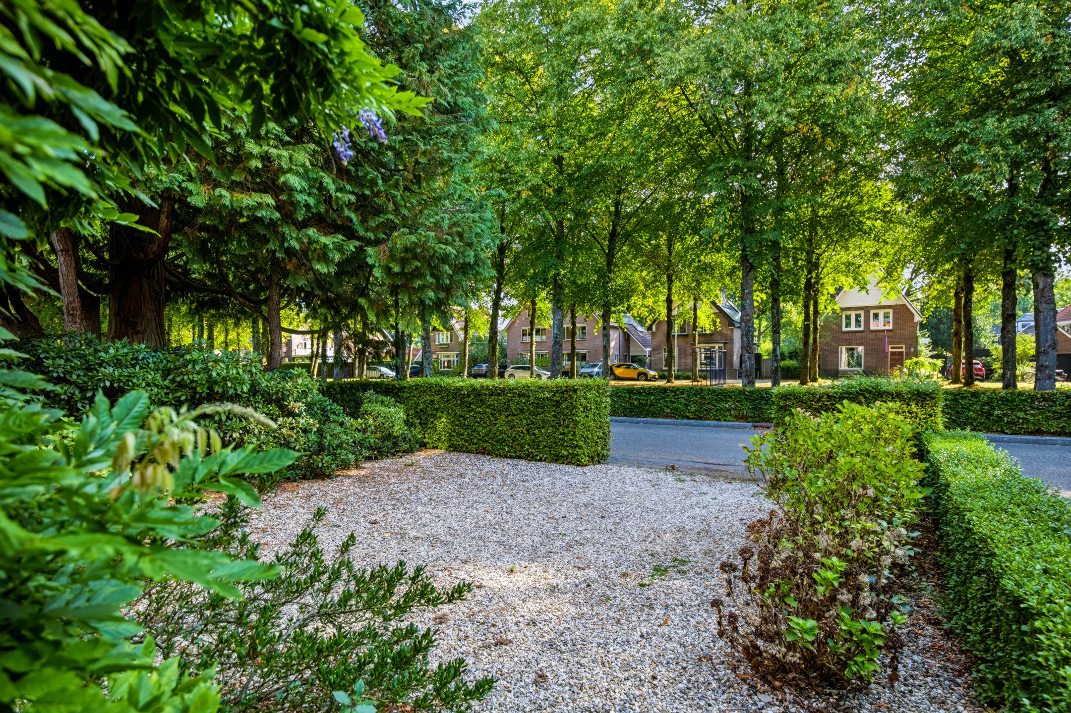 Photo 45 of Koning Lodewijklaan 20