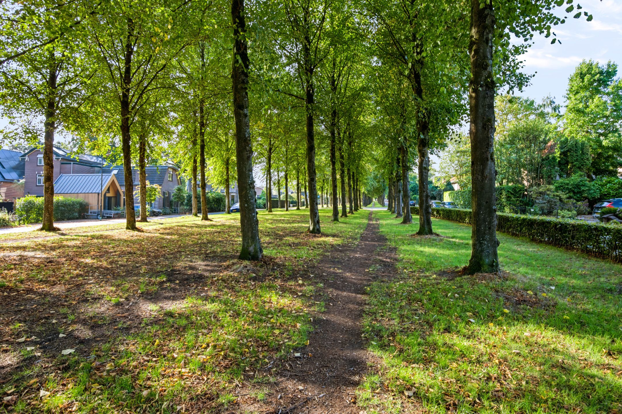 Photo 54 of Koning Lodewijklaan 20