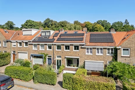 Tormentilstraat thumbnail