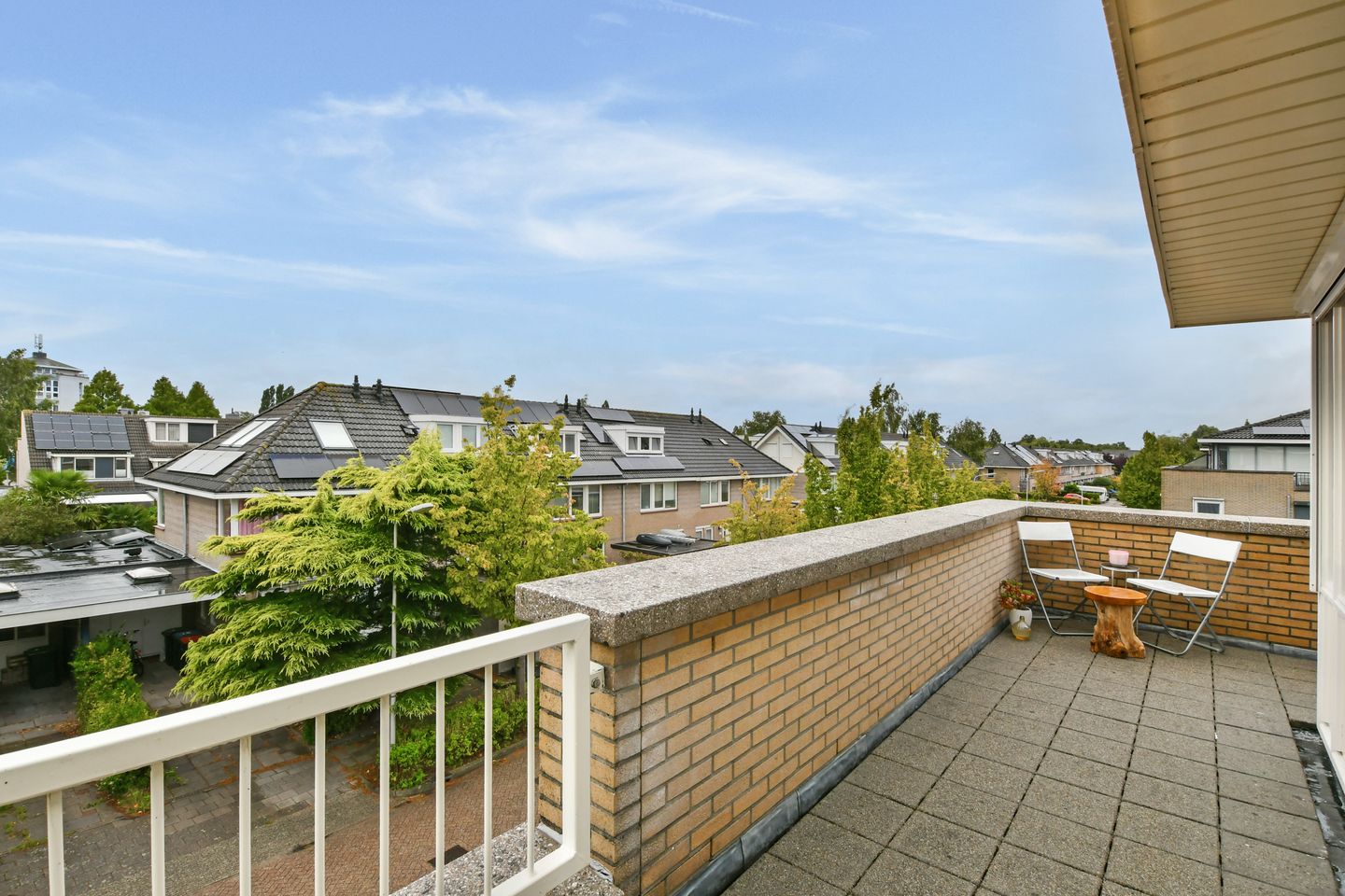 Foto 4 van Witkopeend 9
