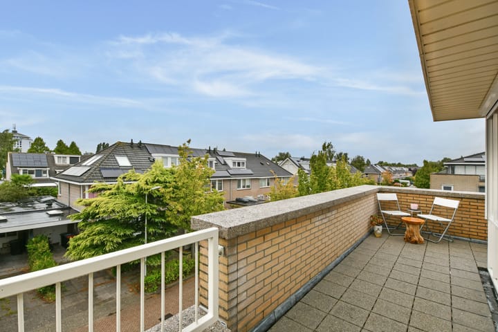 Foto 4 van Witkopeend 9