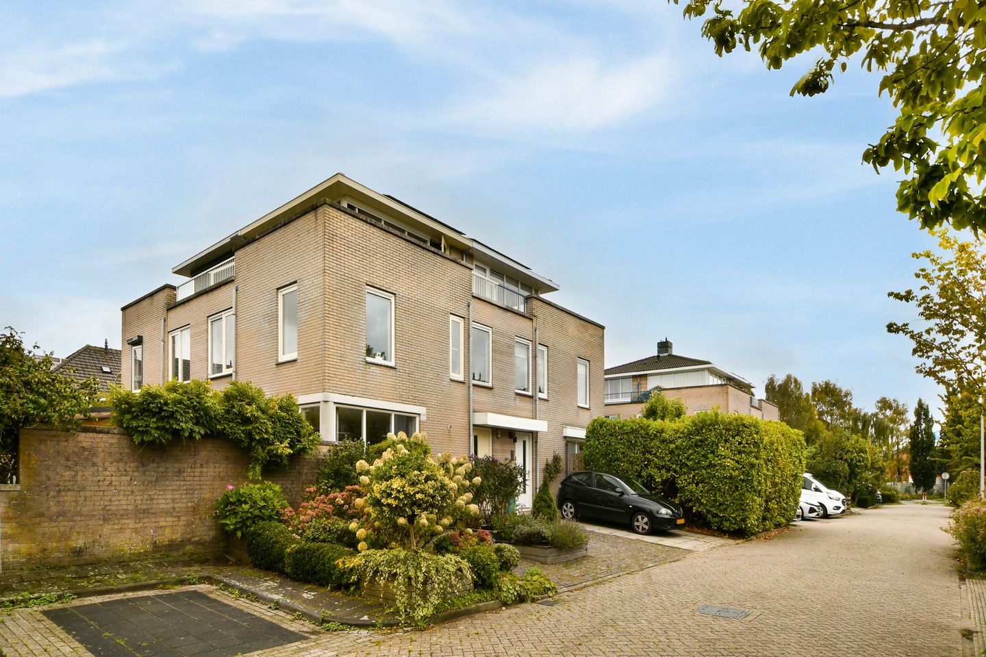Foto 1 van Witkopeend 9