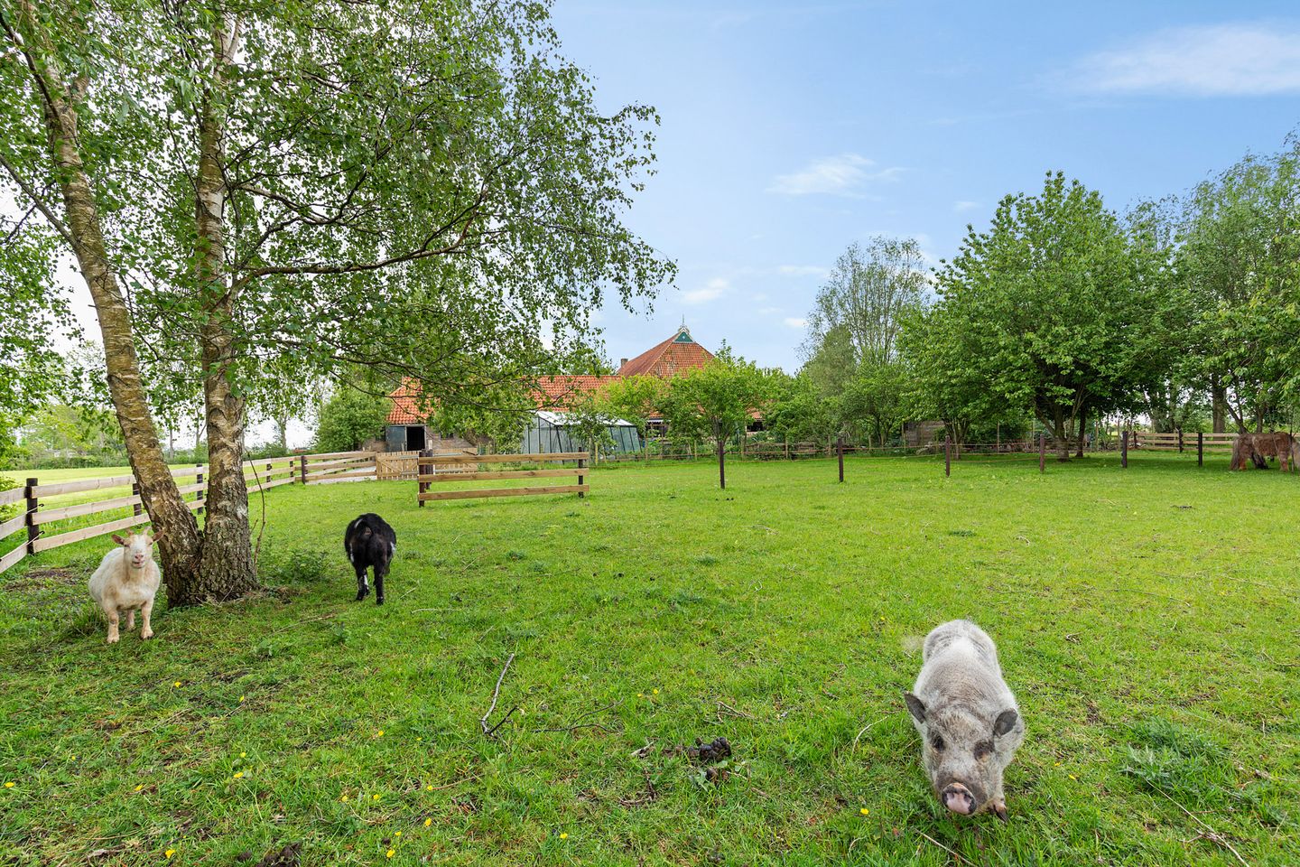 Foto 44 van Heidenskipsterdyk 38-A
